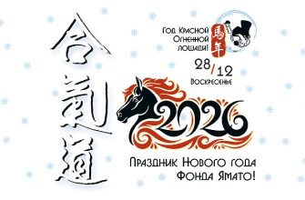 С Новым 2026 годом айкидо Фонда Ямато!